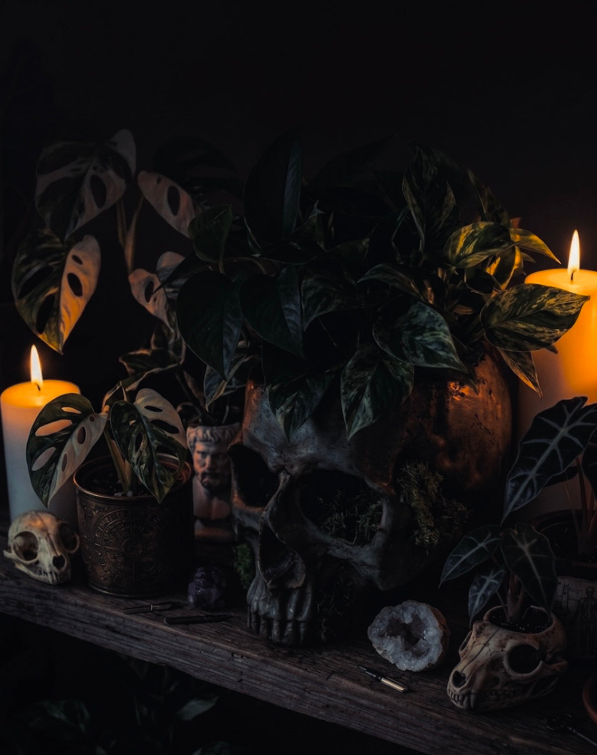Verdant Reliquary