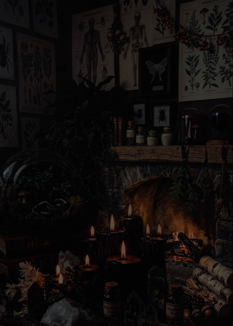 Hearth & Hollow