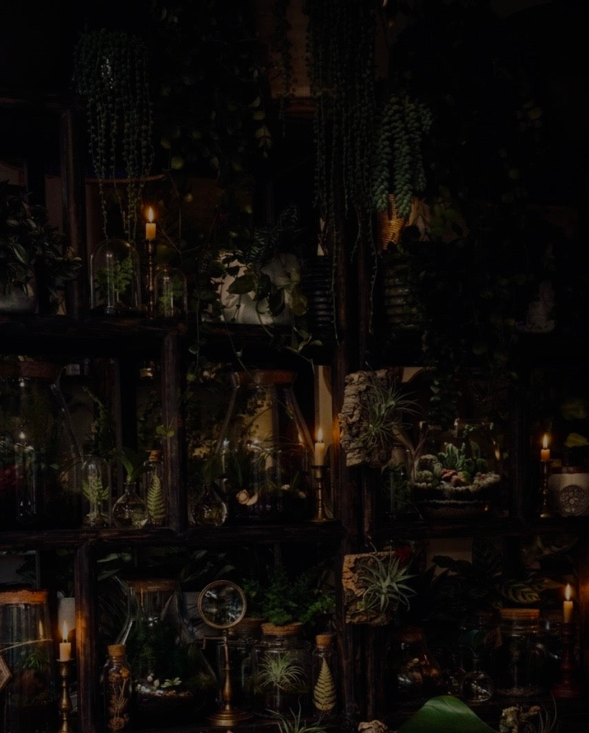 Shadow Gardens