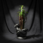 Coiled Dragon Planter