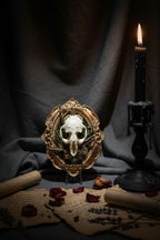 Muskrat Skull Taxidermy Oddity