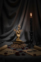 Prakrit Shakti: The Awakening Spirit