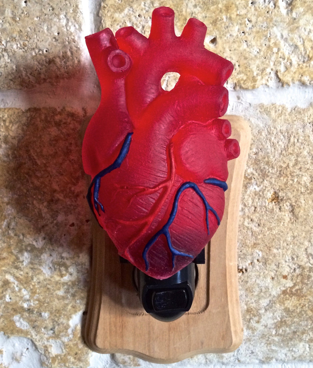 Anatomical Heart Nightlight