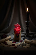 Anatomical Heart Nightlight