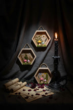 Pixie shadow box