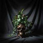 Human Skull Planter