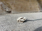 Miniature Resin Skull Necklace