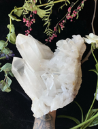 Himalayan Clear Quartz 5.8LBS A++ GRADE