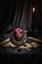 Anatomical Human Heart Wall Plaque