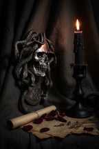 Medusa Skull Wall Plaque