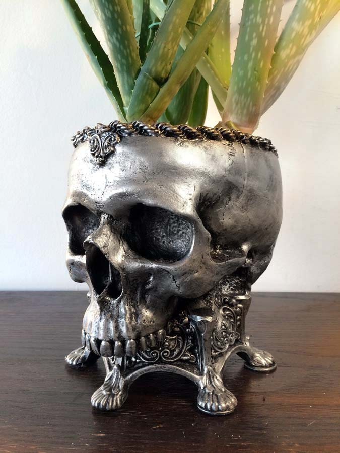 Human Skull Planter