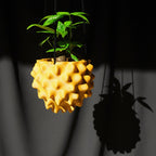 The Creature Orb Hanging Planter Pot