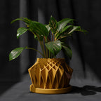 Galaxy Groove Plant Pot
