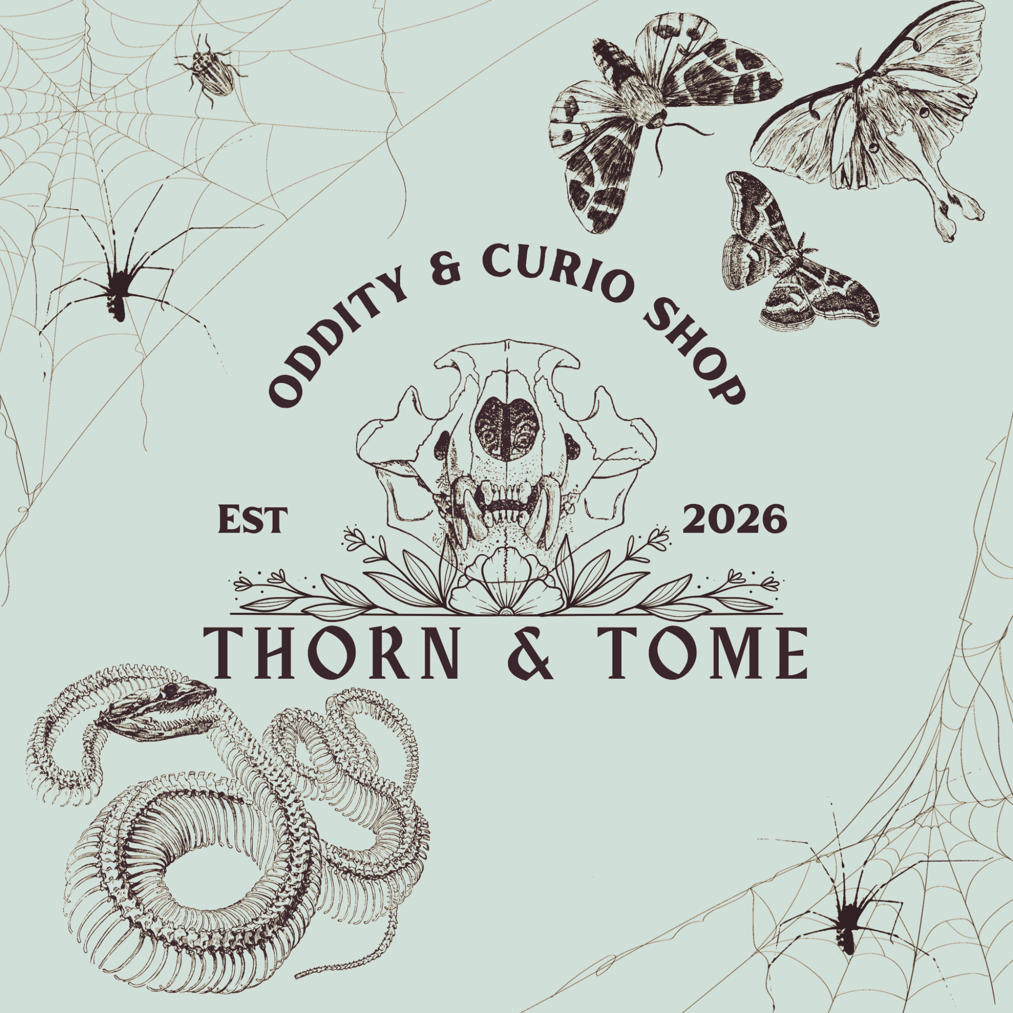 Thorn & Tome