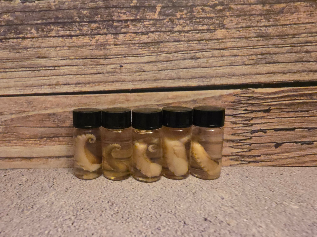 Tiny Octopus Tentacle Curio Vial