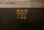 Prairie Rattlesnake Skin Curio Vial