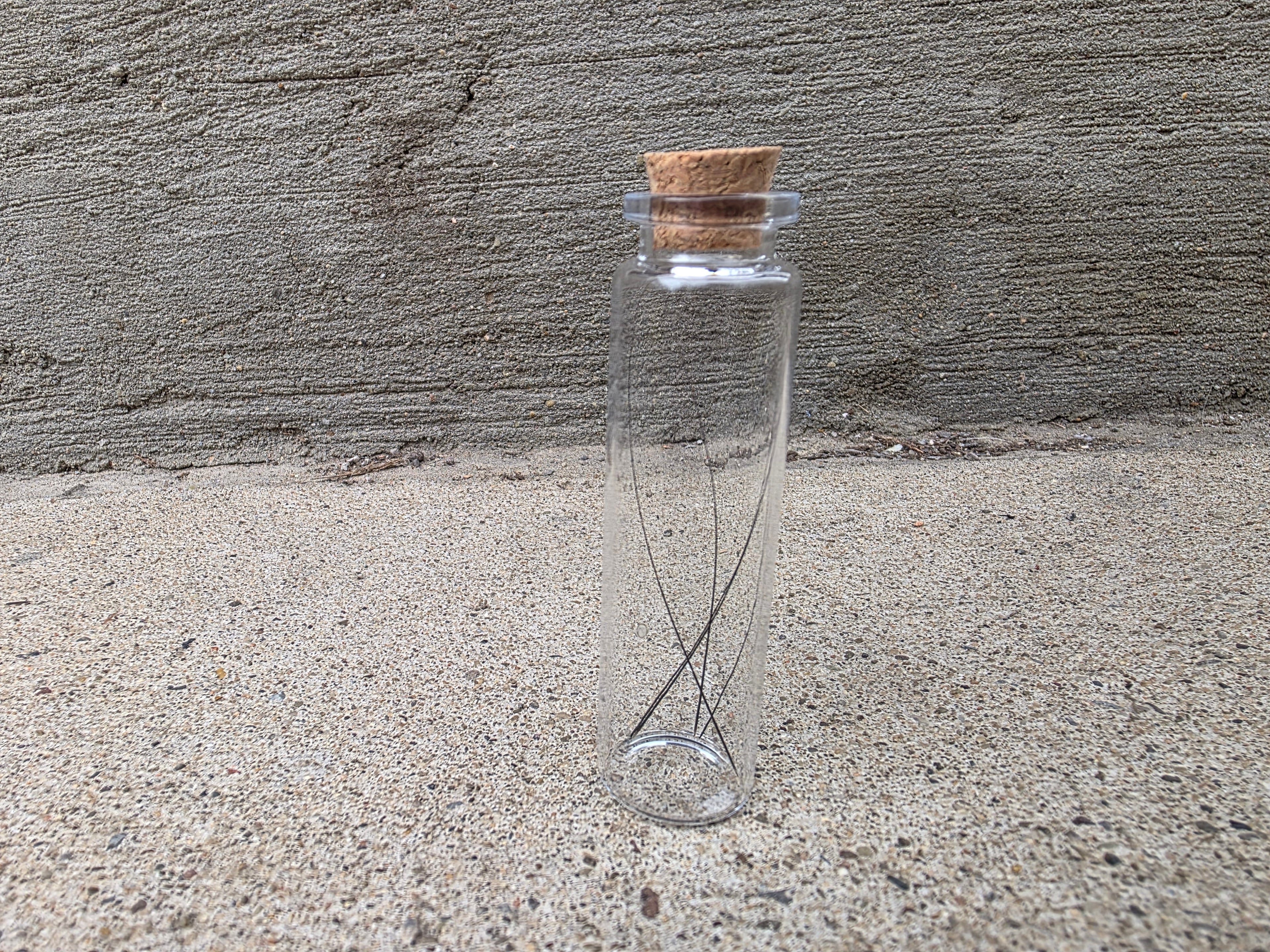 Black Cat Whiskers Curio Vial