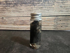 Fuzzy Dark Mouse Wet Specimen Vial