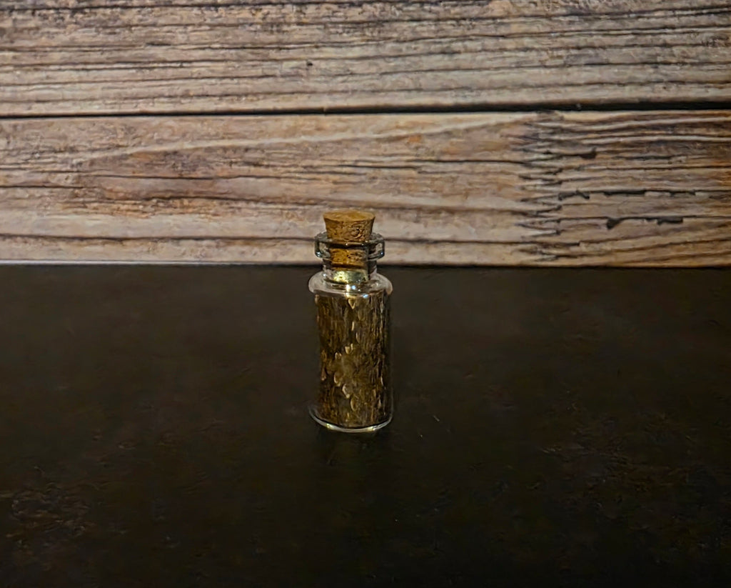 Prairie Rattlesnake Skin Curio Vial