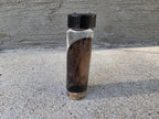 Wild Rabbit Ear Wet Specimen Vial