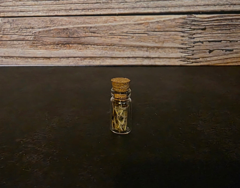 Prairie Rattlesnake Skin Curio Vial