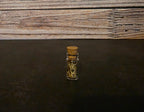 Prairie Rattlesnake Skin Curio Vial