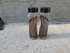 Wild Rabbit Ear Wet Specimen Vial