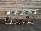 Spotted Lanternfly Wet Specimen Vial