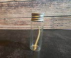 Pathological Mink Baculum Curio Vial