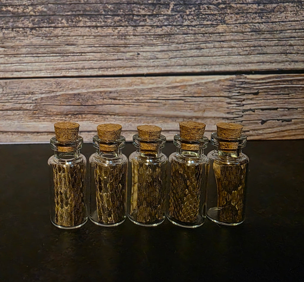 Prairie Rattlesnake Skin Curio Vial