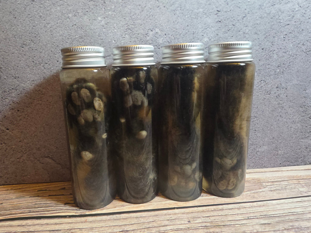 Grey Tortiseshell Cat Paw Wet Specimen