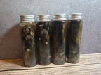 Grey Tortiseshell Cat Paw Wet Specimen