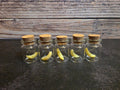 Faux Maggot Curio Vial