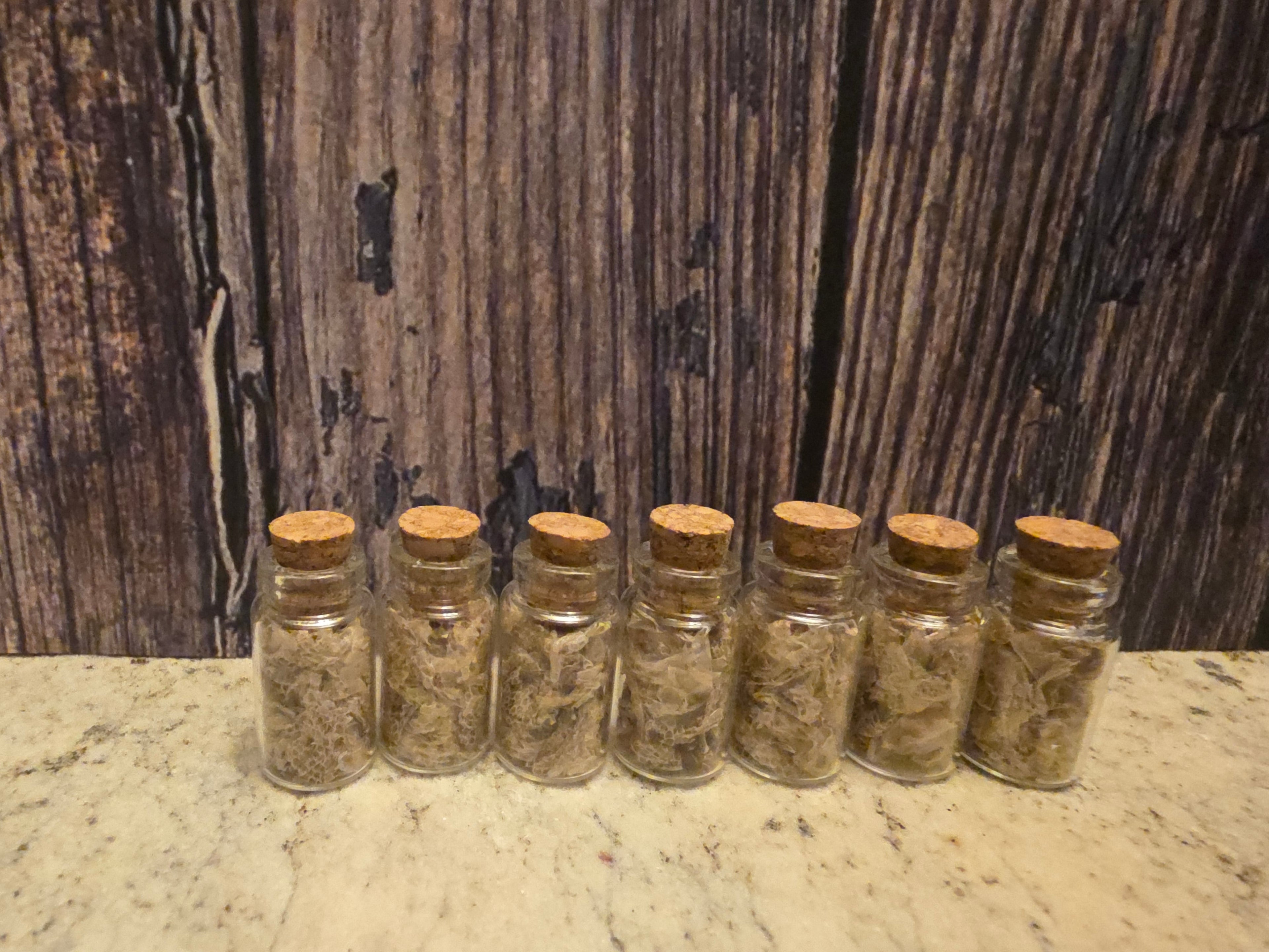 Snake Shed Curio Vial (Sm)