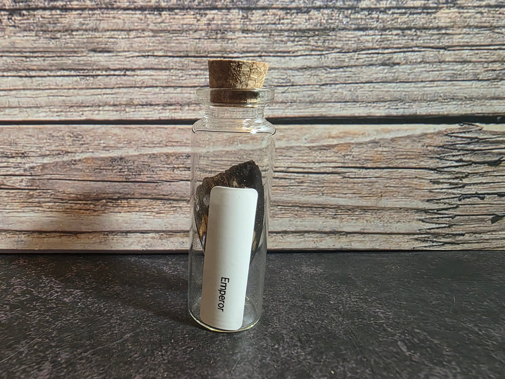 Butterfly Wing Curio Vial