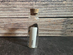 Butterfly Wing Curio Vial