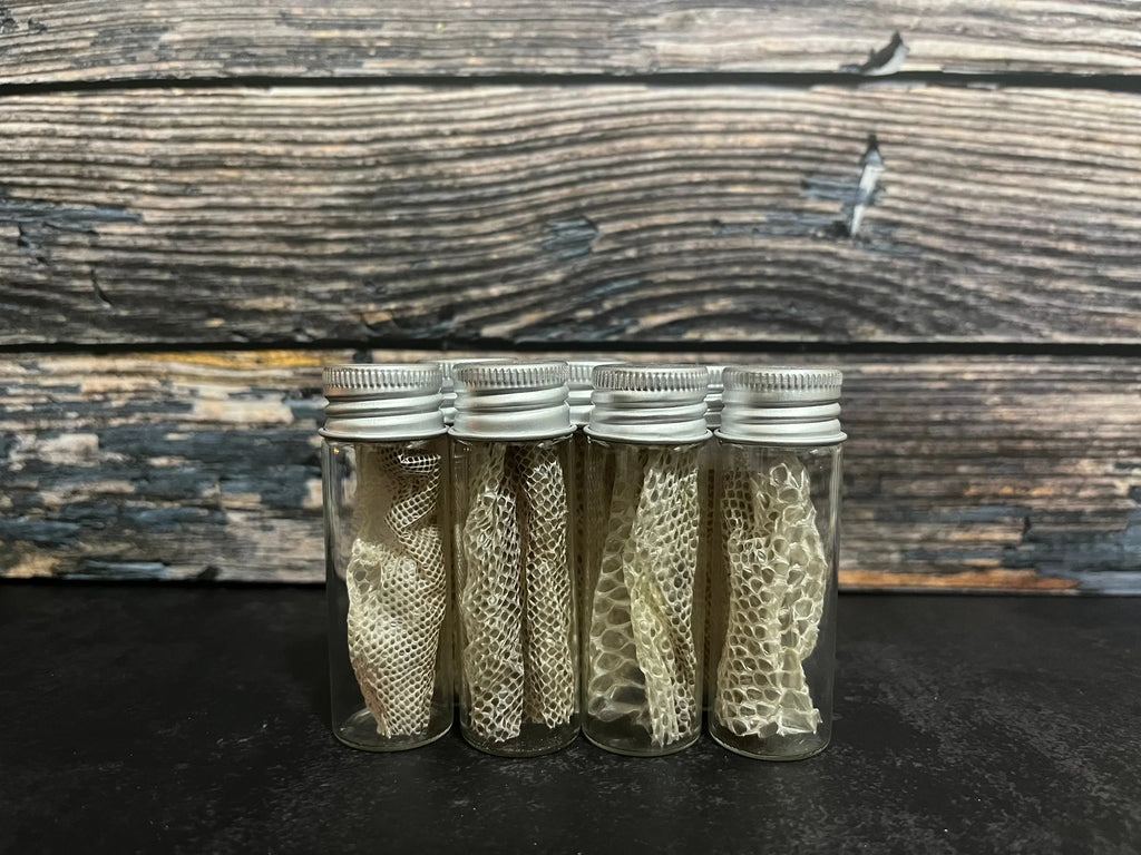 Snake Shed Curio Vial