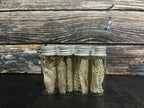 Snake Shed Curio Vial